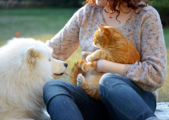 Dog and Cat with Owner